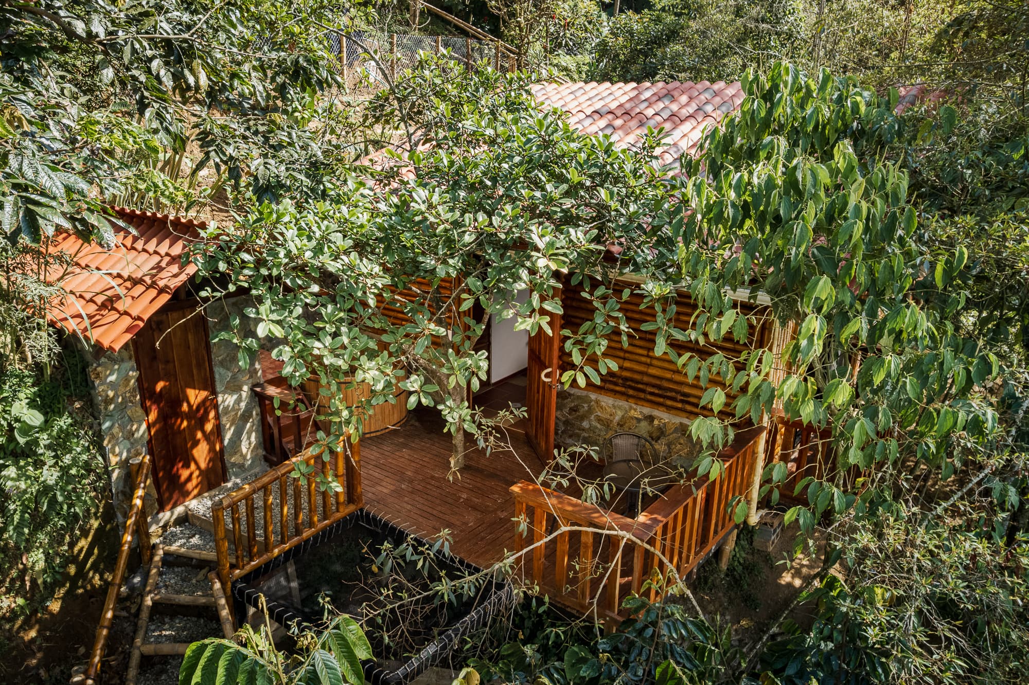 Vista de Cabaña Meliponas rodeada de bosque